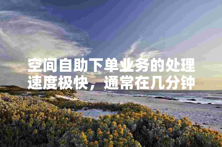 空间自助下单业务的处理速度极快，通常在几分钟内即可完成交易并到账。