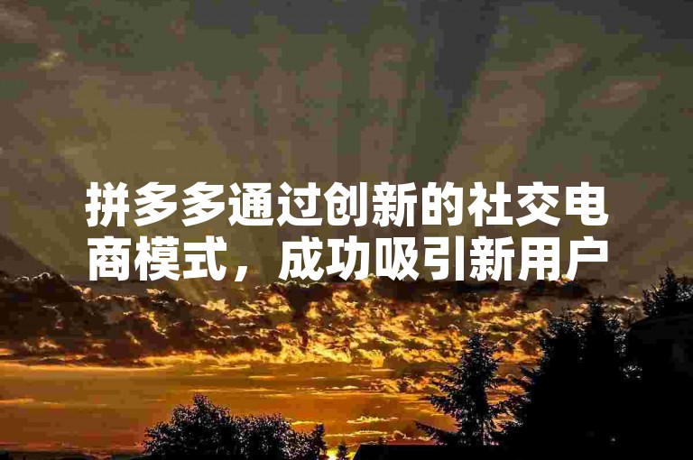 拼多多通过创新的社交电商模式，成功吸引新用户参与助力活动，标志着其在电商领域的又一次飞跃。