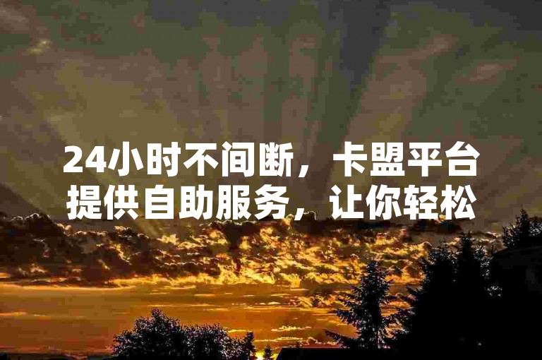 24小时不间断，卡盟平台提供自助服务，让你轻松低价获取网络空间资源。