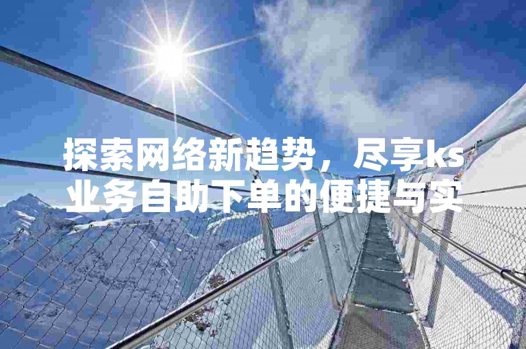 探索网络新趋势，尽享ks业务自助下单的便捷与实惠。