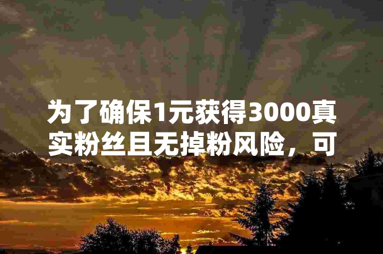 为了确保1元获得3000真实粉丝且无掉粉风险，可以尝试通过快手官方活动或合作伙伴渠道购买，同时关注qq空间业务提供的24小时自助服务和Ks点赞平台的最新优惠。