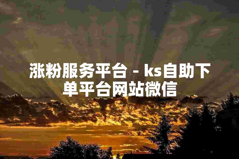 涨粉服务平台 - ks自助下单平台网站微信