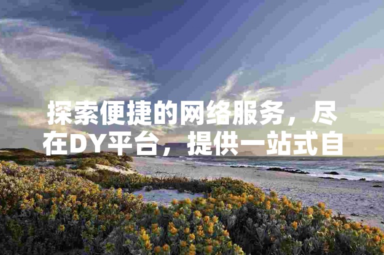 探索便捷的网络服务，尽在DY平台，提供一站式自助下单体验。