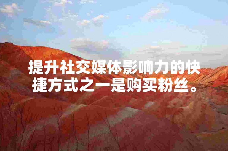 提升社交媒体影响力的快捷方式之一是购买粉丝。