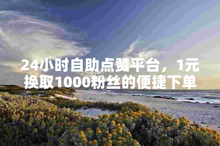 24小时自助点赞平台，1元换取1000粉丝的便捷下单服务。