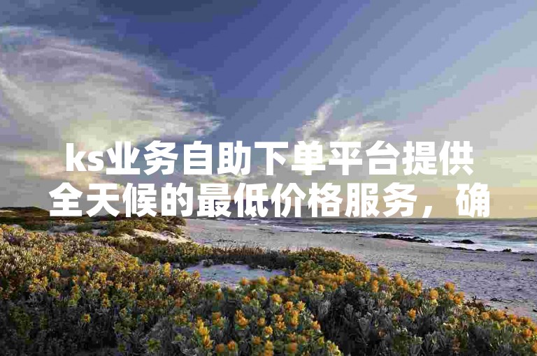 ks业务自助下单平台提供全天候的最低价格服务，确保用户能以最优惠的价格享受高效便捷的自助下单体验。