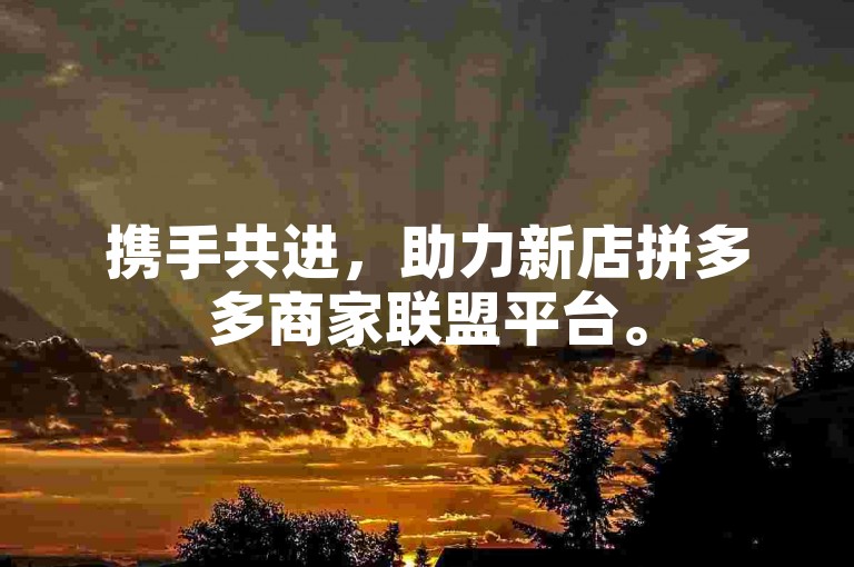 携手共进，助力新店拼多多商家联盟平台。