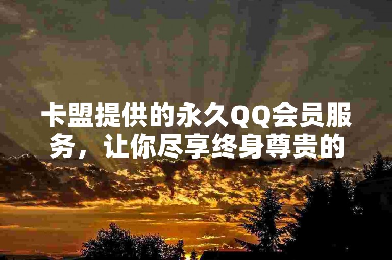 卡盟提供的永久QQ会员服务，让你尽享终身尊贵的社交特权。