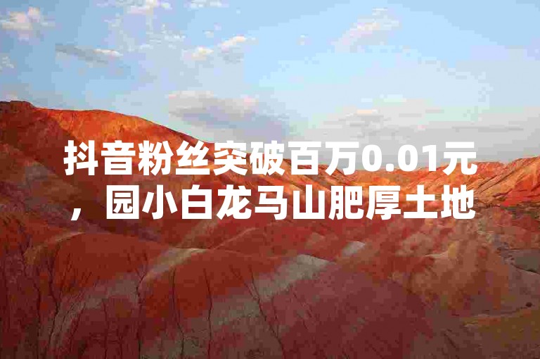 抖音粉丝突破百万0.01元，园小白龙马山肥厚土地房产装修网站, 抖音业务下单平台 超低价 - 黑科技引流推广神器怎么下载 - dy双击业务24小时独家揭秘再战