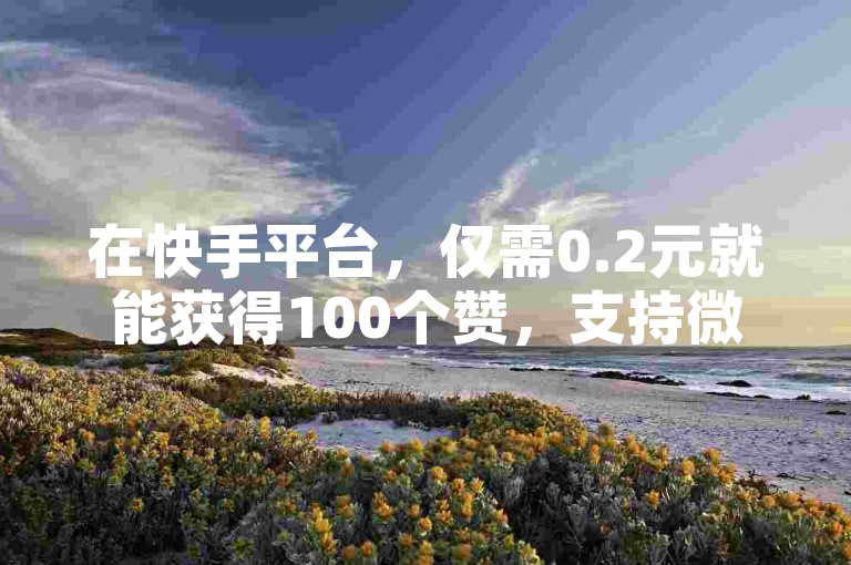 在快手平台，仅需0.2元就能获得100个赞，支持微信支付方式。