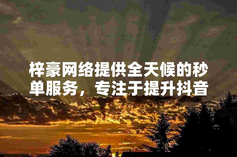 梓豪网络提供全天候的秒单服务，专注于提升抖音和快手的粉丝数量及播放量。