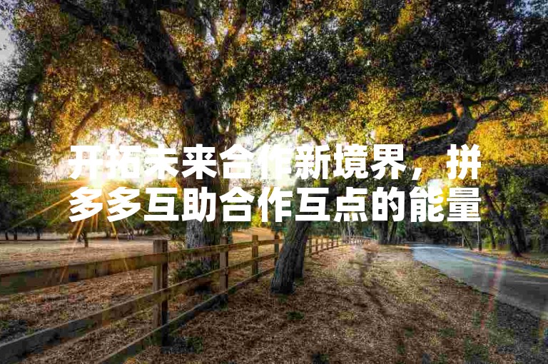 开拓未来合作新境界，拼多多互助合作互点的能量与前景