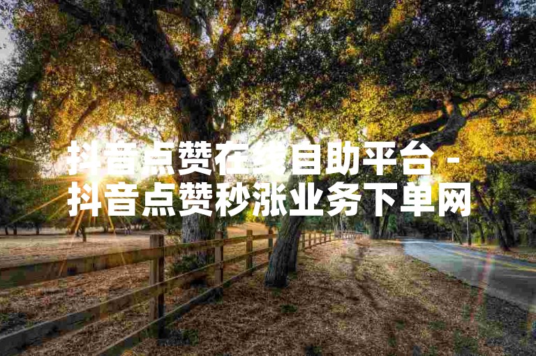 抖音点赞在线自助平台 - 抖音点赞秒涨业务下单网站软件
