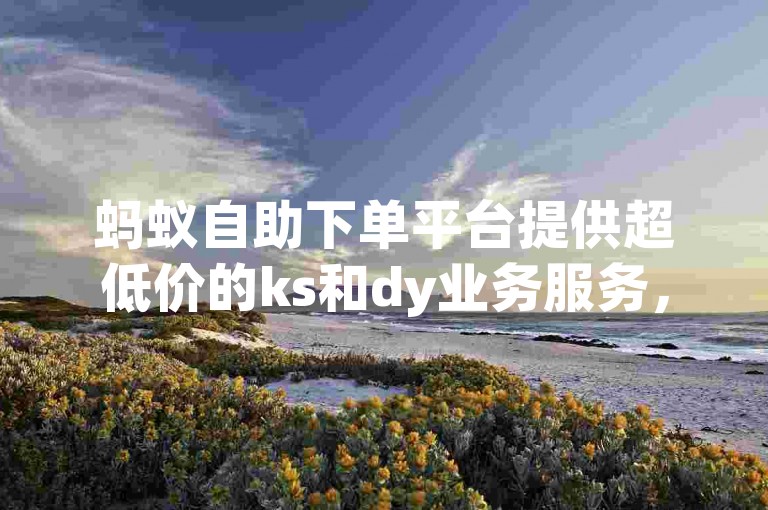 蚂蚁自助下单平台提供超低价的ks和dy业务服务，方便用户快速获取所需。