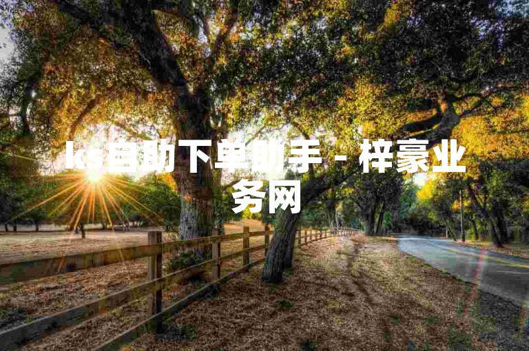 ks自助下单助手 - 梓豪业务网