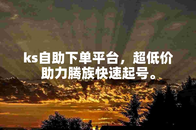 ks自助下单平台，超低价助力腾族快速起号。