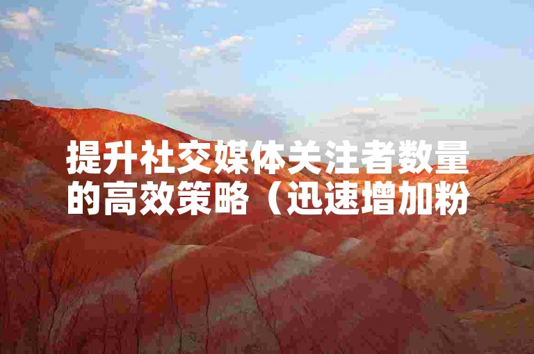 提升社交媒体关注者数量的高效策略（迅速增加粉丝的有效方法）。