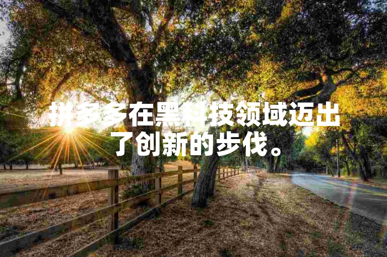 拼多多在黑科技领域迈出了创新的步伐。
