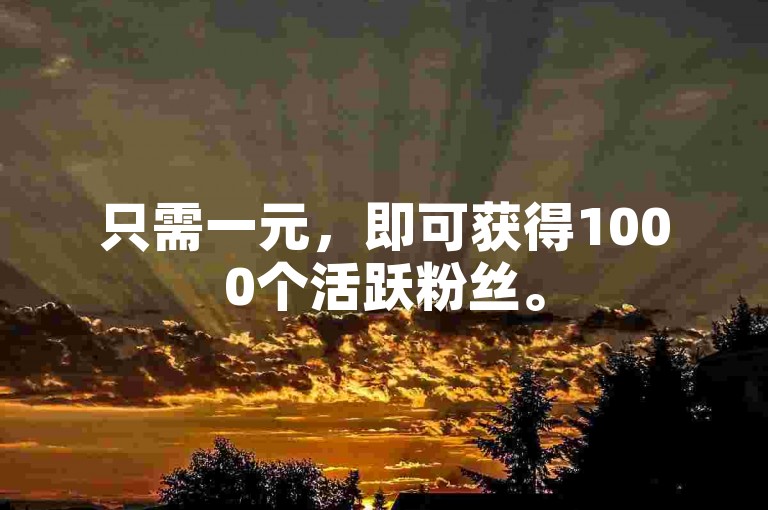 只需一元，即可获得1000个活跃粉丝。