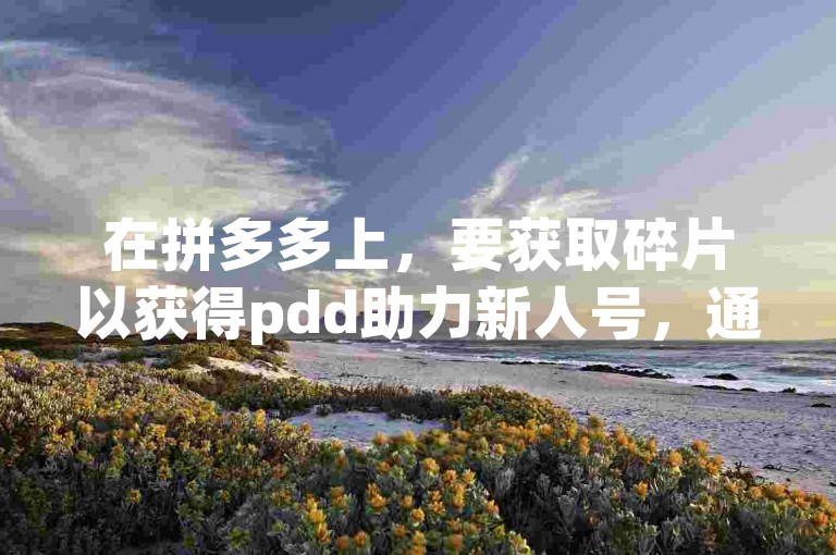 在拼多多上，要获取碎片以获得pdd助力新人号，通常需要参与平台举办的各种活动，如分享、邀请好友等。