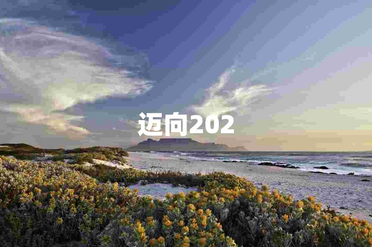 迈向2025，发现经济实惠的助力平台。