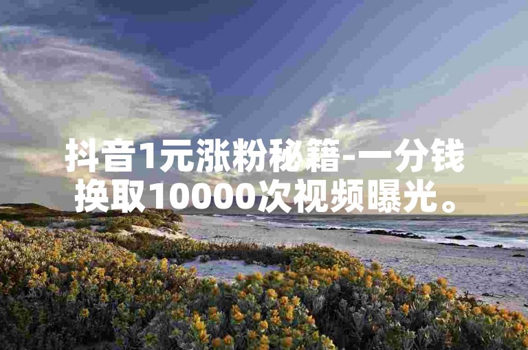 抖音1元涨粉秘籍-一分钱换取10000次视频曝光。