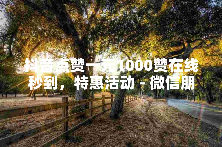 抖音点赞一元1000赞在线秒到，特惠活动 - 微信朋友圈人气王 - 抖音免费业务超值优惠