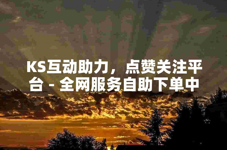 KS互动助力，点赞关注平台 - 全网服务自助下单中心 - ks快速点赞APP