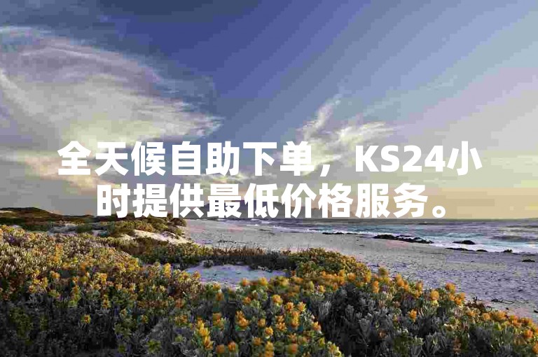 全天候自助下单，KS24小时提供最低价格服务。