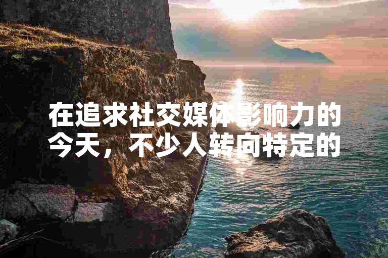 在追求社交媒体影响力的今天，不少人转向特定的在线服务平台以增加他们的粉丝数量。