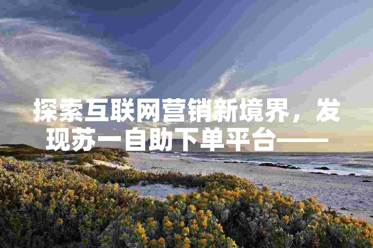 探索互联网营销新境界，发现苏一自助下单平台——您的快手业务增长加速器。