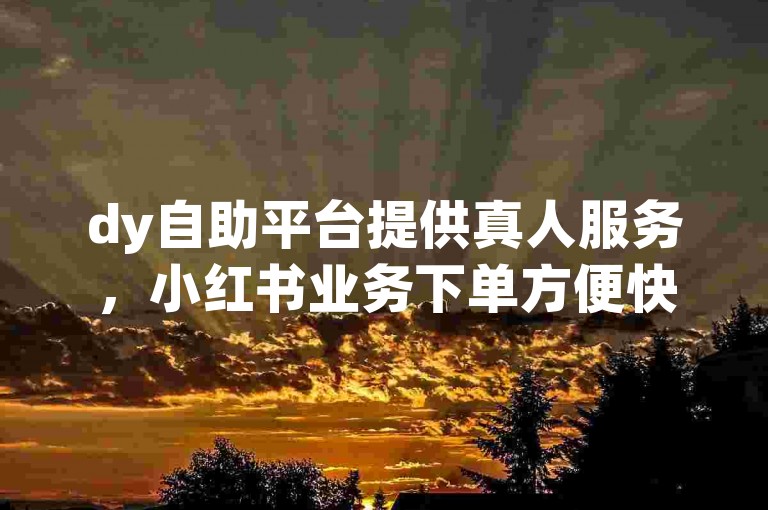 dy自助平台提供真人服务，小红书业务下单方便快捷，空间说说赞网址随时可用，24小时微商软件自助下单商城满足您的需求。