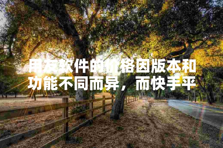 用友软件的价格因版本和功能不同而异，而快手平台则提供了免费上热门网站的机会。