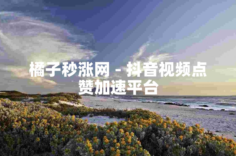 橘子秒涨网 - 抖音视频点赞加速平台