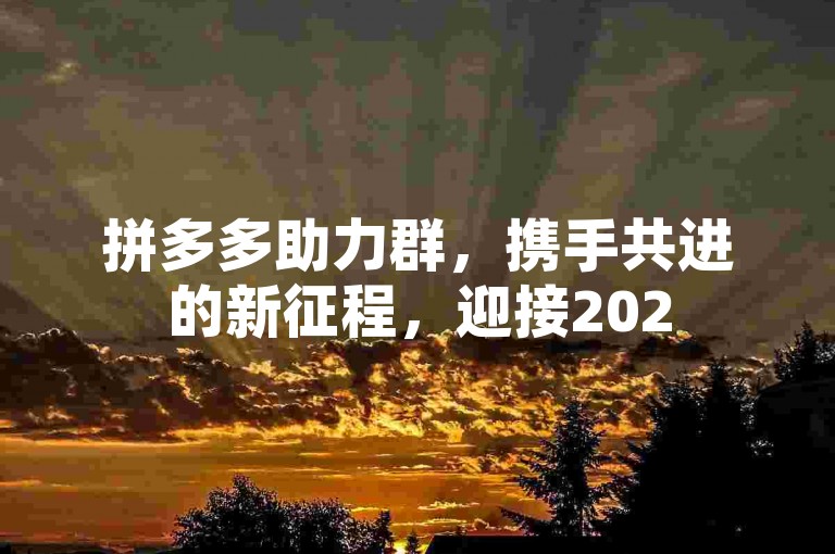 拼多多助力群，携手共进的新征程，迎接2025的希望与可能。