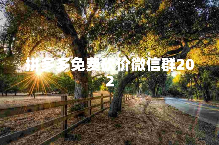 拼多多免费砍价微信群2025年将是一个充满活力的社群，成员们将积极参与各种优惠活动，共同分享购物的乐趣。