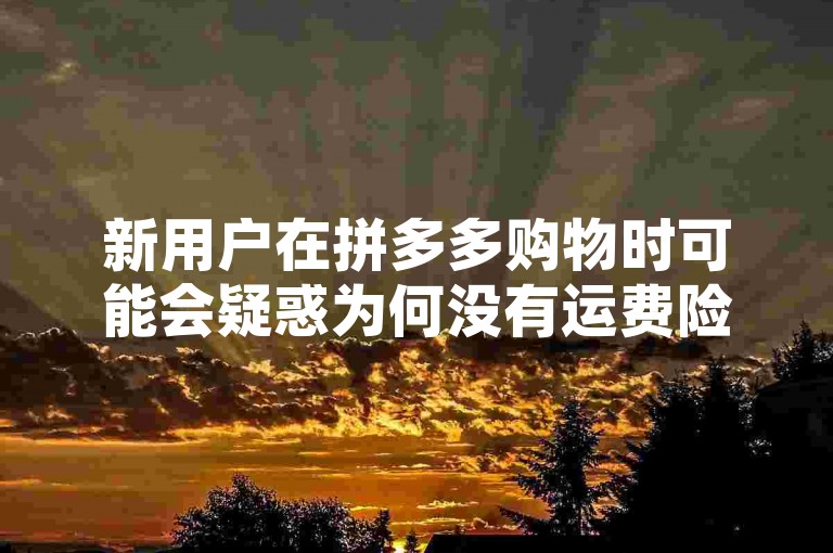 新用户在拼多多购物时可能会疑惑为何没有运费险，这可能与平台的保险政策或用户等级有关。