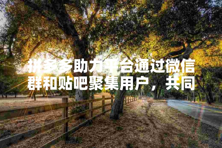拼多多助力平台通过微信群和贴吧聚集用户，共同完成助力任务。