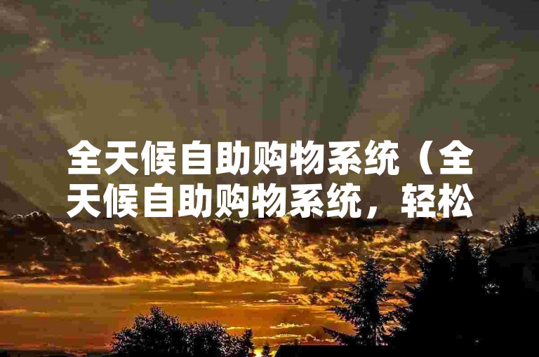 全天候自助购物系统（全天候自助购物系统，轻松高效的在线下单服务）