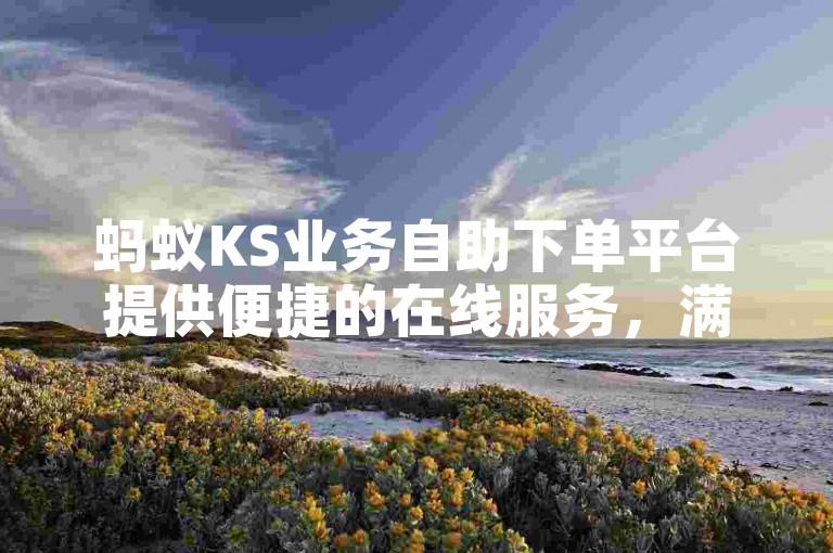 蚂蚁KS业务自助下单平台提供便捷的在线服务，满足抖音用户增加双击量的需求。