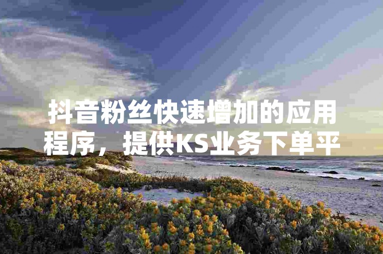 抖音粉丝快速增加的应用程序，提供KS业务下单平台及微信支付选项，qq卡网自助下单软件以最低价助力。