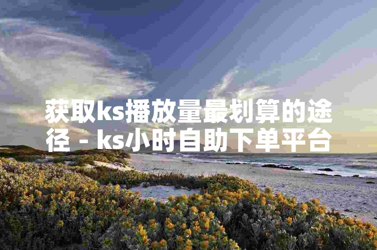 获取ks播放量最划算的途径 - ks小时自助下单平台最具性价比。