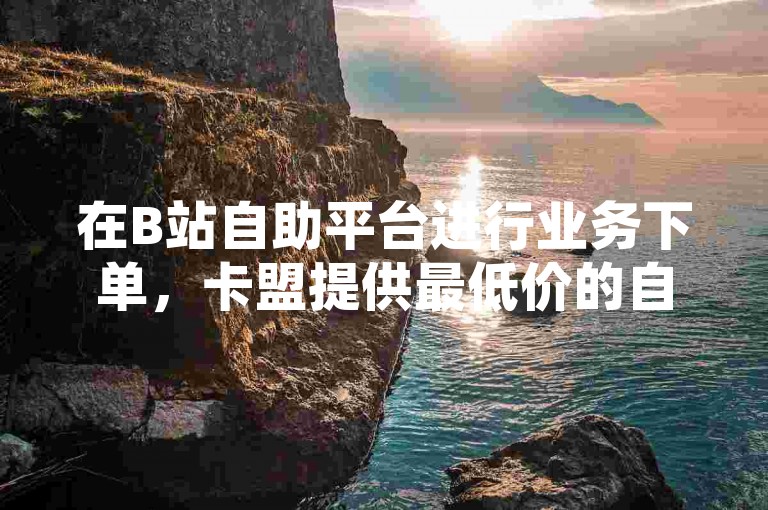 在B站自助平台进行业务下单，卡盟提供最低价的自助下单服务官网。