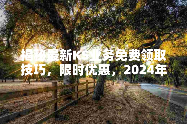 揭秘最新KS业务免费领取技巧，限时优惠，2024年必备技能！