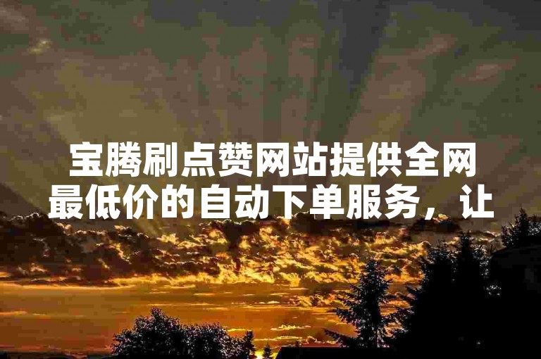 宝腾刷点赞网站提供全网最低价的自动下单服务，让您轻松获得更多点赞。