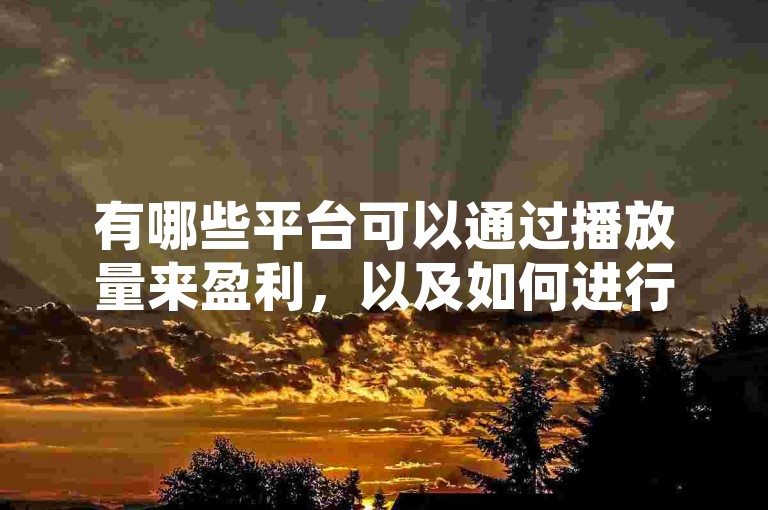 有哪些平台可以通过播放量来盈利，以及如何进行全网下单业务？