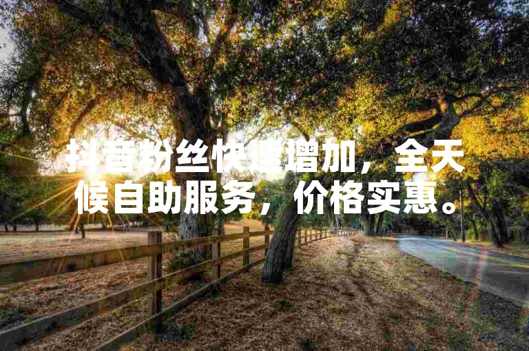抖音粉丝快速增加，全天候自助服务，价格实惠。