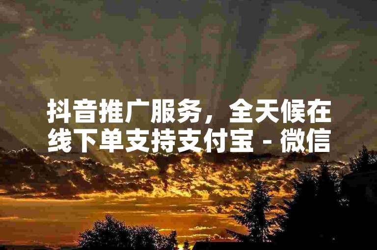 抖音推广服务，全天候在线下单支持支付宝 - 微信营销平台 - 虚拟商品交易平台官网