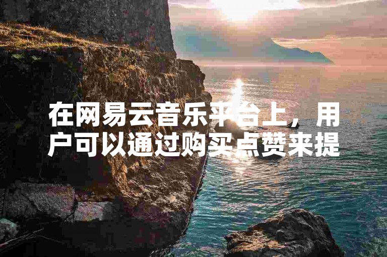 在网易云音乐平台上，用户可以通过购买点赞来提升歌曲的热度，同时在B站上也有类似的服务，允许人们下单增加粉丝数量。