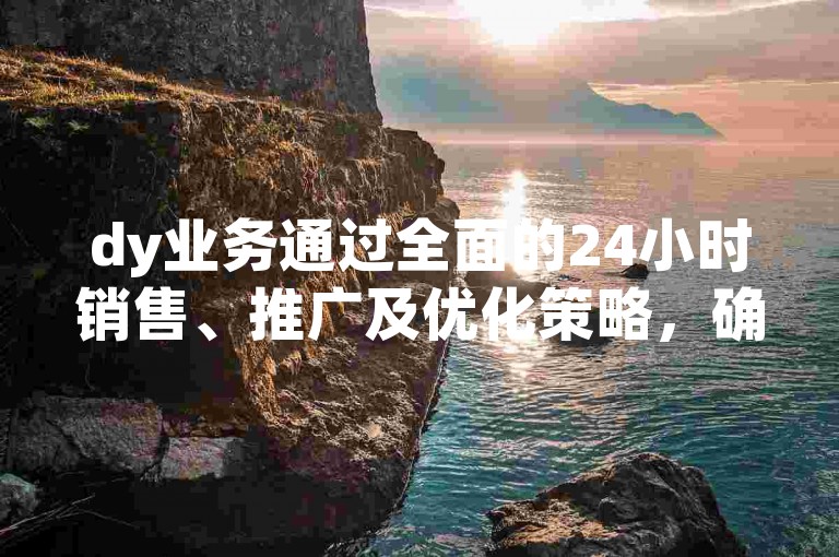 dy业务通过全面的24小时销售、推广及优化策略，确保了其高效运营的全天候作战计划得以完美实施。